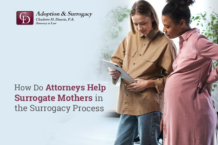Surrogate Mother Process