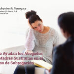 Proceso de Madre Sustituta