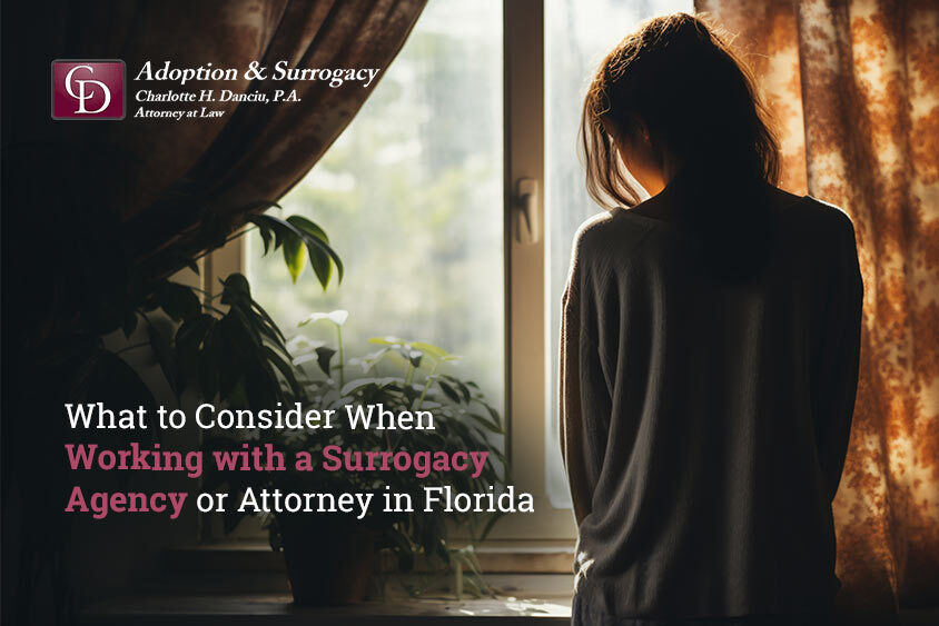 Working with a Surrogacy Agency