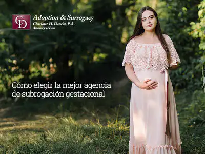 Cómo elegir la mejor agencia de subrogación gestacional