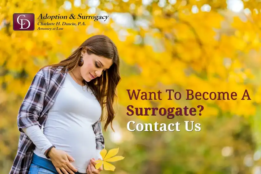 Become A Surrogate