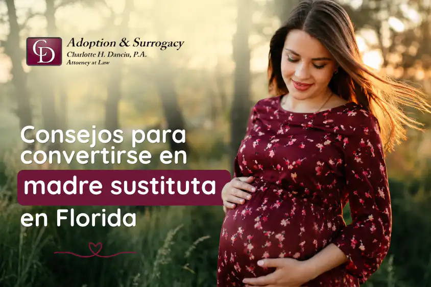 Conviértete en madre sustituta